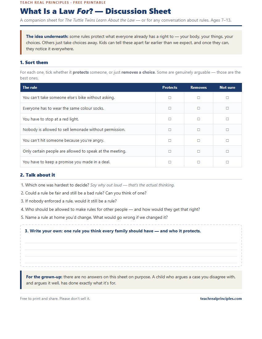 Preview of the What Is a Law For? printable